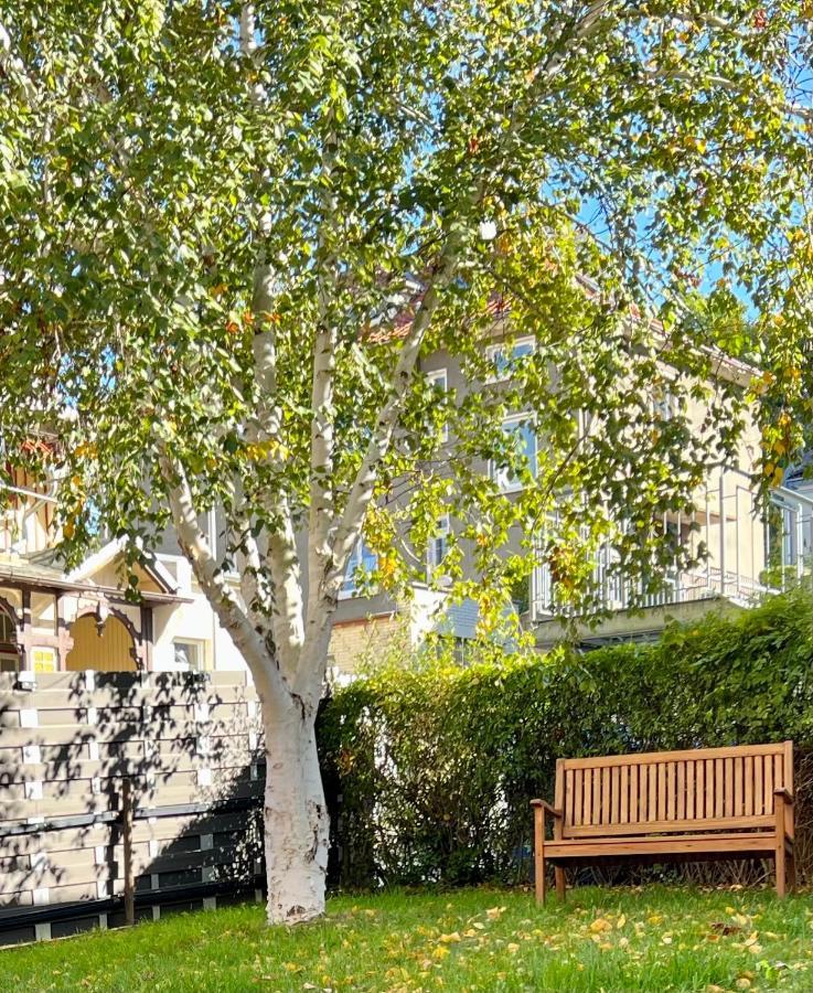 Traumfewo Palais #Innenstadt #Garten #Netflix Von Harztraveler Wernigerode Exteriör bild