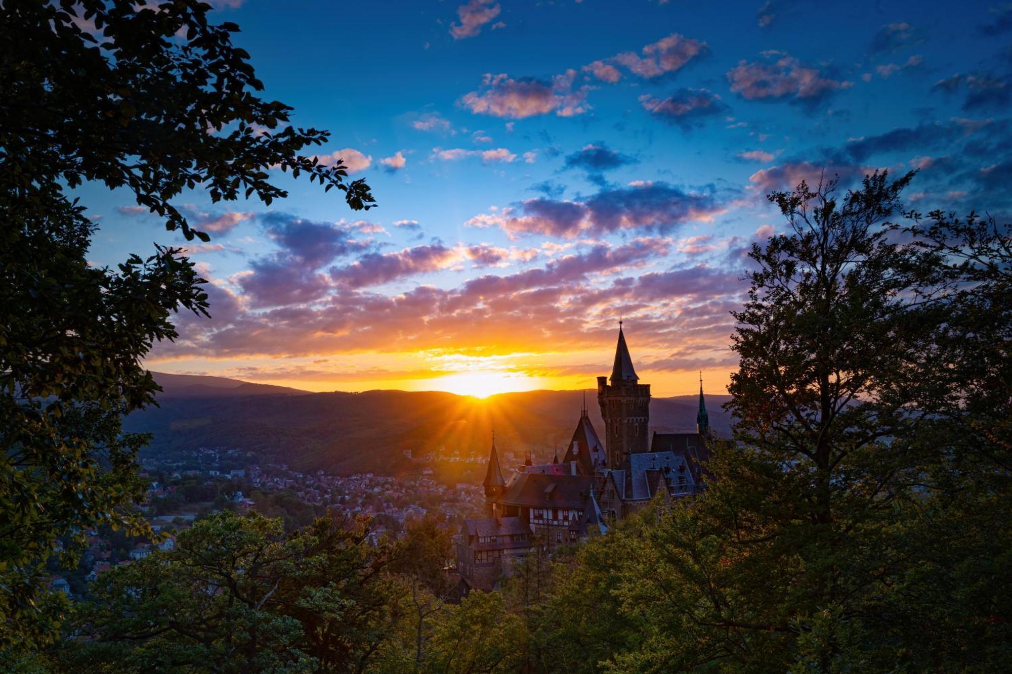 Traumfewo Palais #Innenstadt #Garten #Netflix Von Harztraveler Wernigerode Exteriör bild